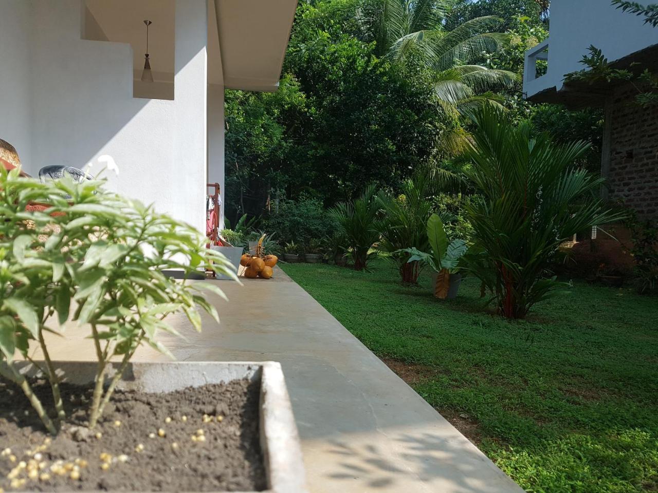 South Heaven Villa ฮิกคาดูวา ภายนอก รูปภาพ